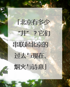 北京有多少“井”？它们串联起北京的过去与现在、烟火与诗意
