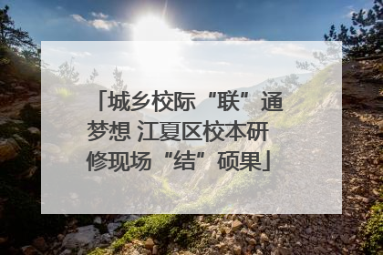 城乡校际“联”通梦想 江夏区校本研修现场“结”硕果