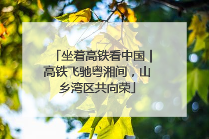 坐着高铁看中国｜高铁飞驰粤湘间，山乡湾区共向荣