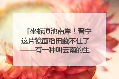 坐标滇池南岸！晋宁这片镜面稻田藏不住了——有一种叫云南的生活之365天