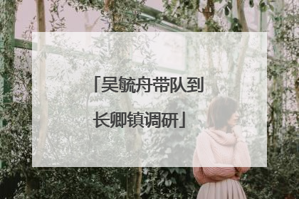 吴毓舟带队到长卿镇调研