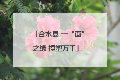 合水县 一“面”之缘 捏塑万千