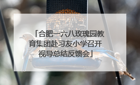 合肥一六八玫瑰园教育集团赴习友小学召开视导总结反馈会