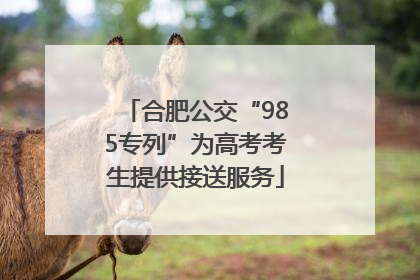合肥公交“985专列”为高考考生提供接送服务