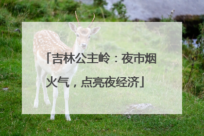 吉林公主岭：夜市烟火气，点亮夜经济