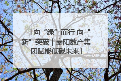 向“绿”而行 向“新”突破｜襄阳数产集团赋能低碳未来