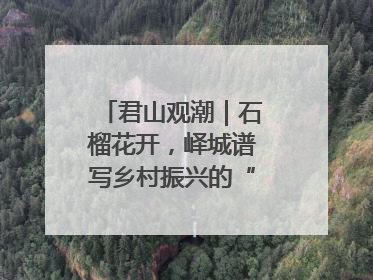 君山观潮｜石榴花开，峄城谱写乡村振兴的“新”篇章