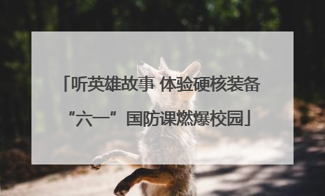 听英雄故事 体验硬核装备 “六一”国防课燃爆校园