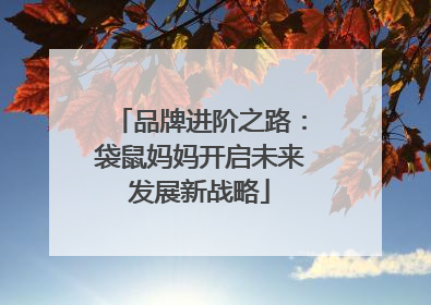 品牌进阶之路：袋鼠妈妈开启未来发展新战略