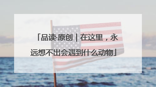 品读·原创｜在这里，永远想不出会遇到什么动物