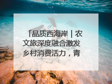 品质西海岸｜农文旅深度融合激发乡村消费活力，青岛西海岸新区的乡村振兴实践
