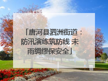 唐河县泗洲街道：防汛演练筑防线 未雨绸缪保安全