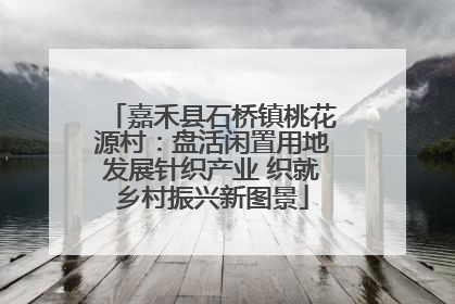 嘉禾县石桥镇桃花源村：盘活闲置用地发展针织产业 织就乡村振兴新图景