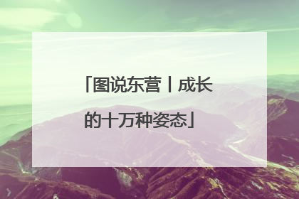 图说东营丨成长的十万种姿态