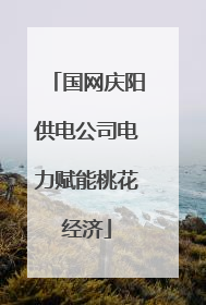 国网庆阳供电公司电力赋能桃花经济