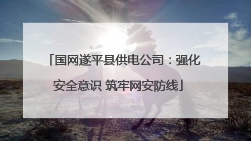 国网遂平县供电公司：强化安全意识 筑牢网安防线