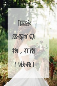 国家二级保护动物，在南昌获救