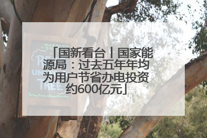国新看台丨国家能源局：过去五年年均为用户节省办电投资约600亿元