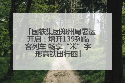 国铁集团郑州局暑运开启：增开139列临客列车 畅享“米”字形高铁出行圈
