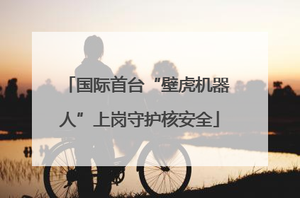 国际首台“壁虎机器人”上岗守护核安全