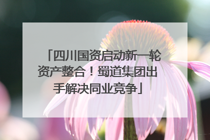 四川国资启动新一轮资产整合！蜀道集团出手解决同业竞争