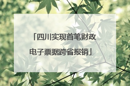 四川实现首笔财政电子票据跨省报销