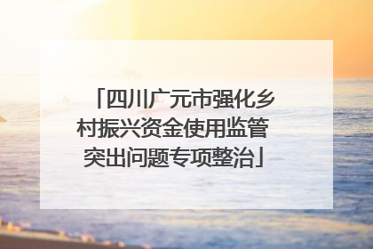 四川广元市强化乡村振兴资金使用监管突出问题专项整治