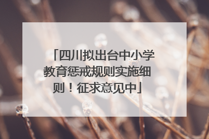 四川拟出台中小学教育惩戒规则实施细则！征求意见中