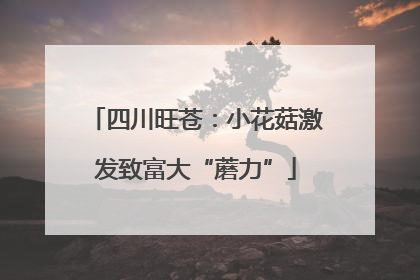 四川旺苍：小花菇激发致富大“蘑力”