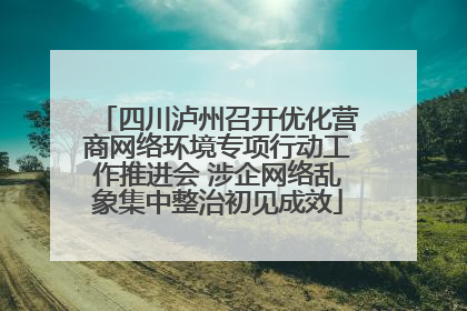 四川泸州召开优化营商网络环境专项行动工作推进会 涉企网络乱象集中整治初见成效