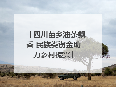 四川苗乡油茶飘香 民族类资金助力乡村振兴