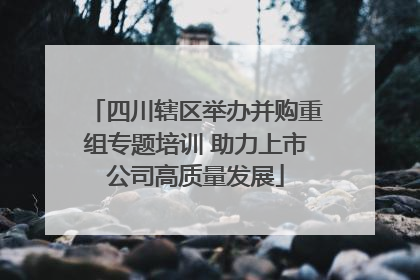 四川辖区举办并购重组专题培训 助力上市公司高质量发展
