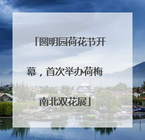 圆明园荷花节开幕，首次举办荷梅南北双花展