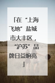 在“上海飞地”盐城市大丰区，“沪苏”品牌日益响亮