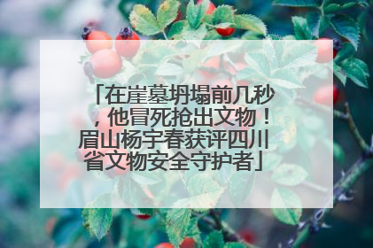 在崖墓坍塌前几秒，他冒死抢出文物！眉山杨宇春获评四川省文物安全守护者