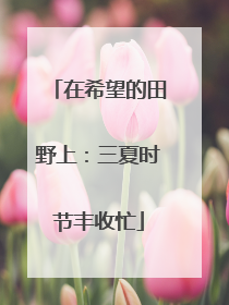 在希望的田野上：三夏时节丰收忙