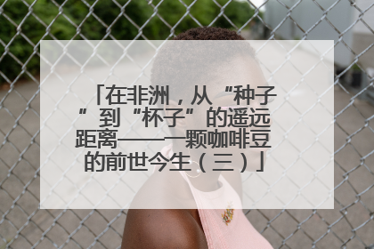 在非洲，从“种子”到“杯子”的遥远距离——一颗咖啡豆的前世今生（三）