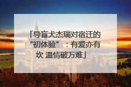 导盲犬杰瑞对宿迁的“初体验”：有爱亦有坎 温情破万难