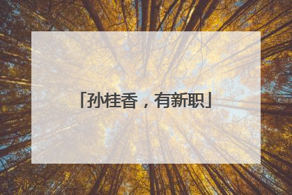孙桂香，有新职