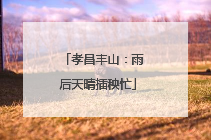 孝昌丰山：雨后天晴插秧忙