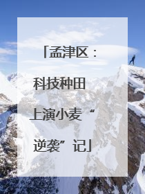 孟津区：科技种田 上演小麦“逆袭”记