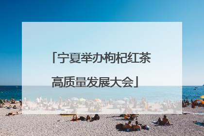 宁夏举办枸杞红茶高质量发展大会