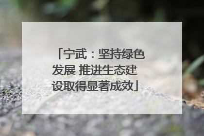 宁武：坚持绿色发展 推进生态建设取得显著成效