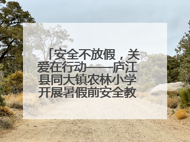 安全不放假，关爱在行动——庐江县同大镇农林小学开展暑假前安全教育大家访