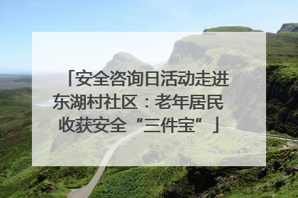 安全咨询日活动走进东湖村社区：老年居民收获安全“三件宝”