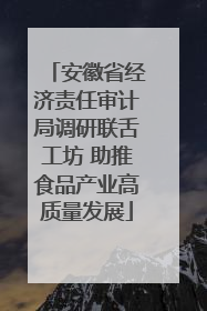 安徽省经济责任审计局调研联舌工坊 助推食品产业高质量发展