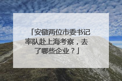 安徽两位市委书记率队赴上海考察，去了哪些企业？