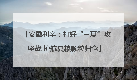 安徽利辛：打好“三夏”攻坚战 护航夏粮颗粒归仓