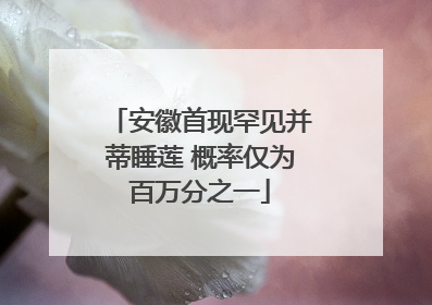 安徽首现罕见并蒂睡莲 概率仅为百万分之一