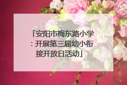 安阳市梅东路小学：开展第三届幼小衔接开放日活动